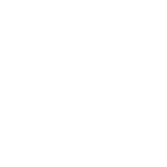 icon-corsi-rls_white